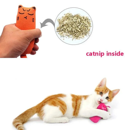 Rustle Sound Catnip Toy