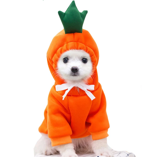 Cute Fruit Dog Hoodies